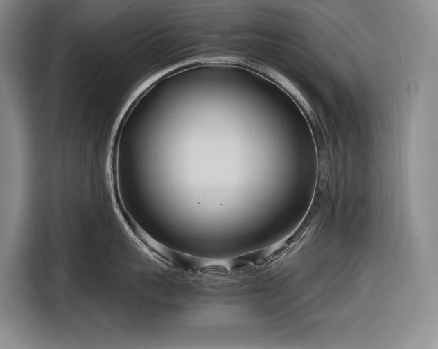 X0000116680959200912211621