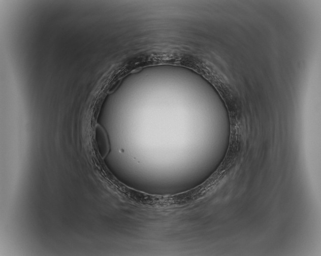 X0000116680961200912211620