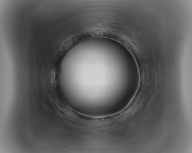 X0000116680964200912211620