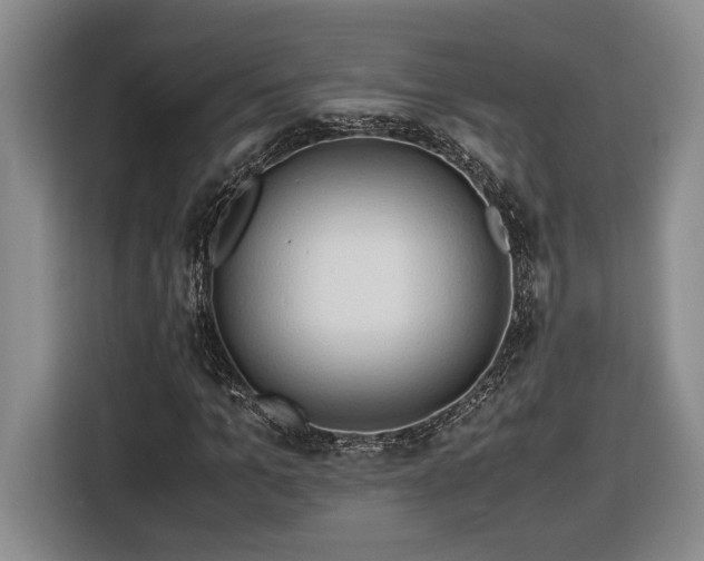 X0000116680965200912211620