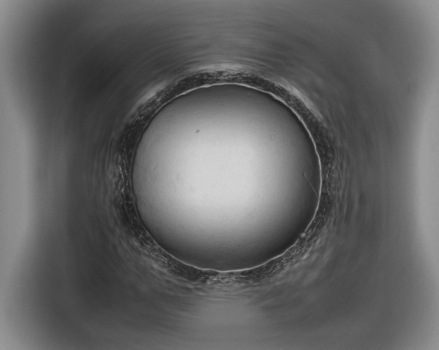 X0000116680967200912211620