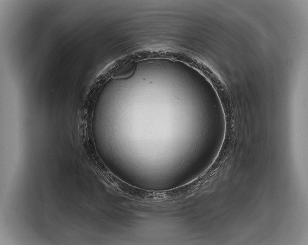 X0000116680968200912211620