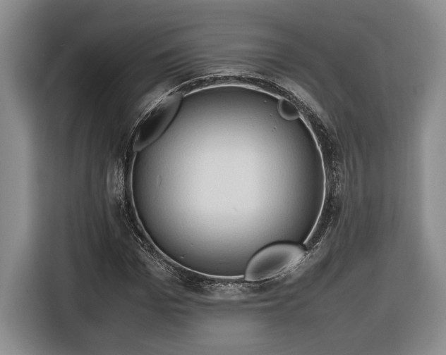 X0000116680969200912211620