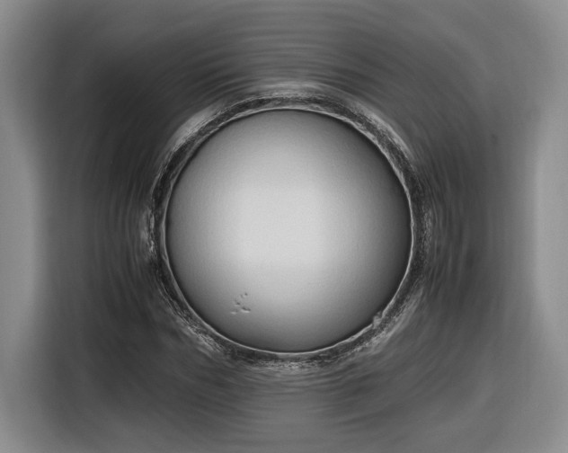 X0000116680970200912211620