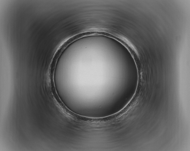 X0000116680972200912211620