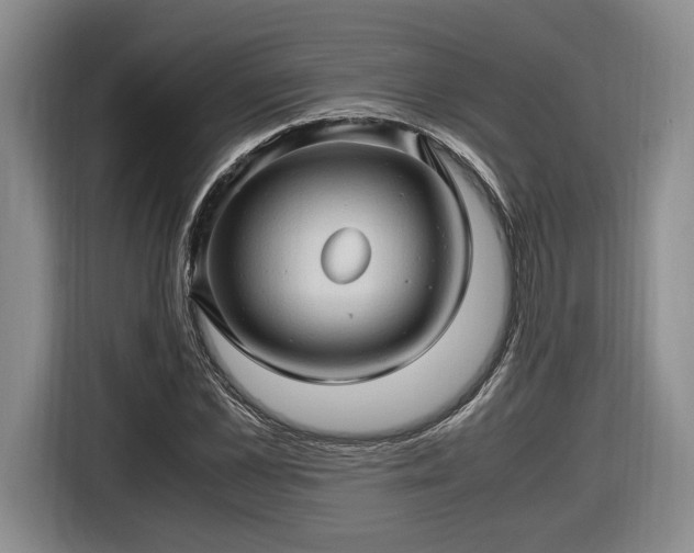 X0000116680973200912211620