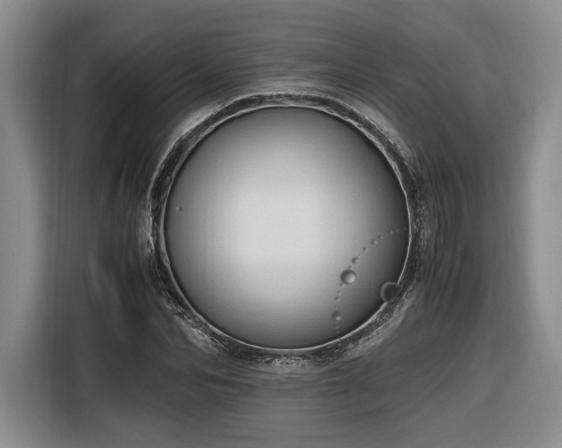 X0000116680974200912211620