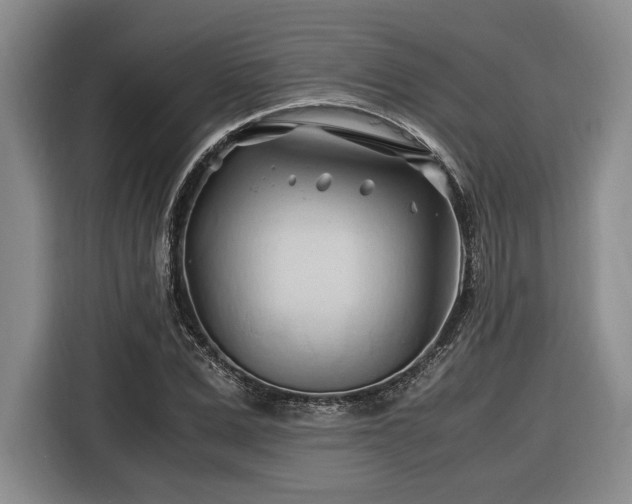 X0000116680975200912211620