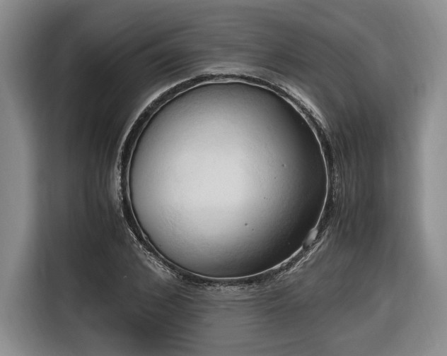 X0000116680976200912211620