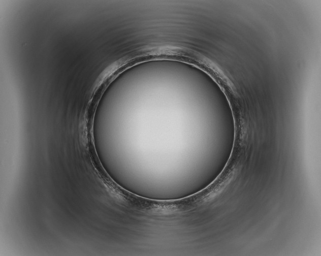 X0000116680978200912211620