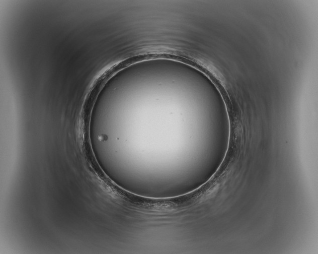 X0000116680979200912211620