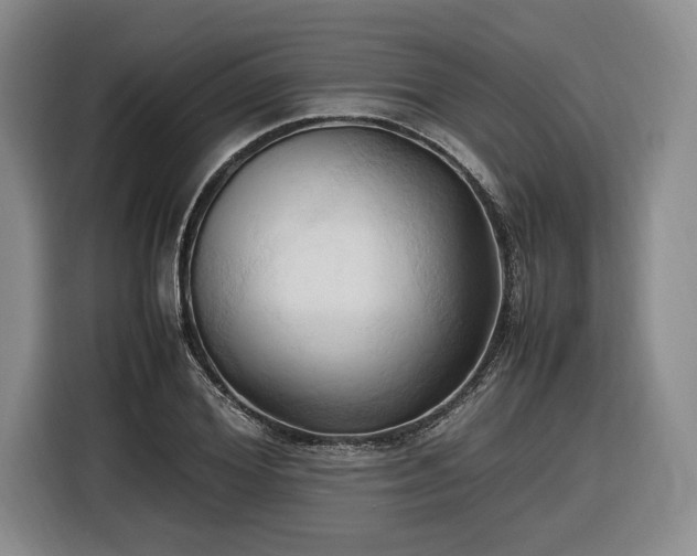 X0000116680980200912211620