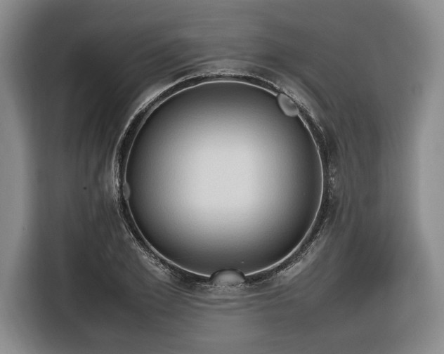 X0000116680981200912211620