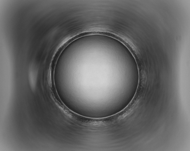 X0000116680982200912211620