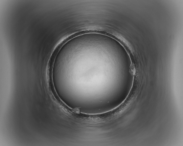 X0000116680983200912211620