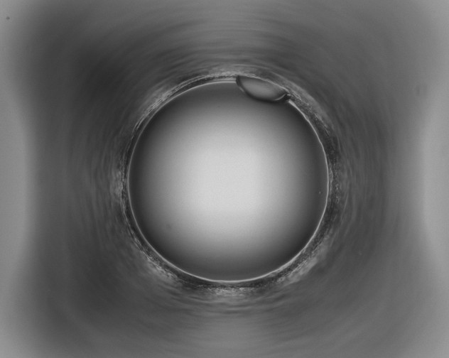 X0000116680985200912211620