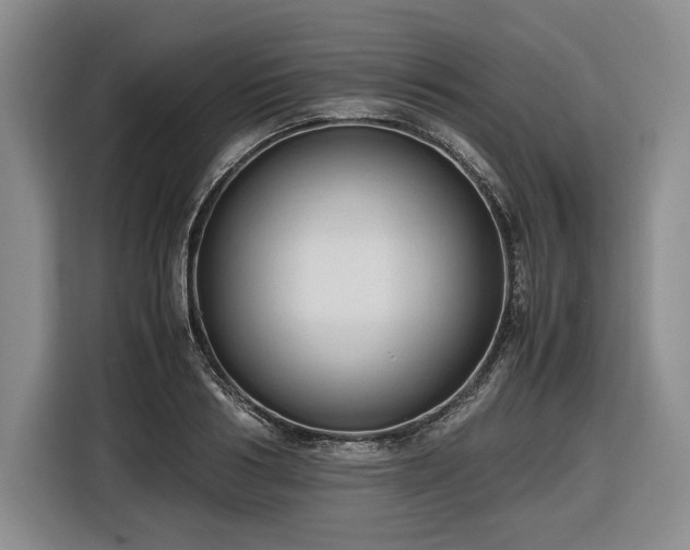 X0000116680986200912211620