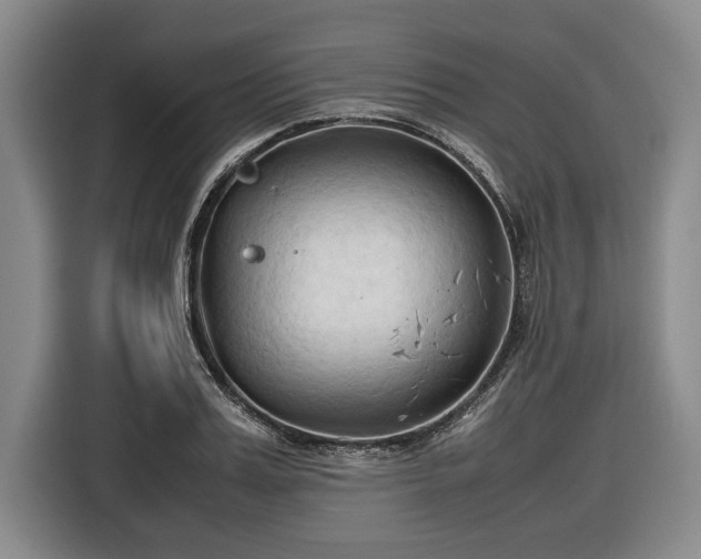 X0000116680987200912211620