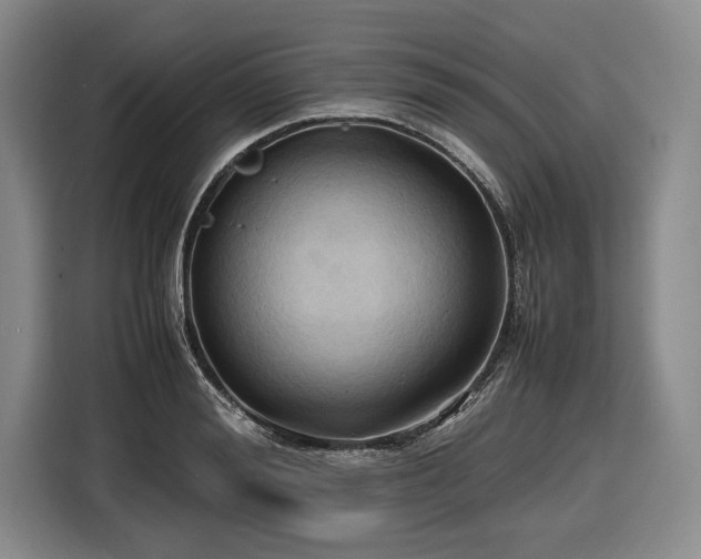 X0000116680988200912211620