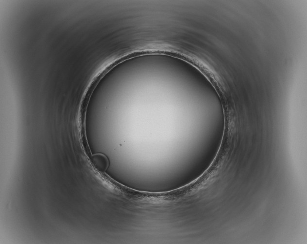 X0000116680990200912211620