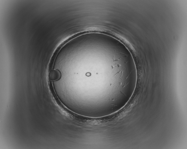 X0000116680991200912211620