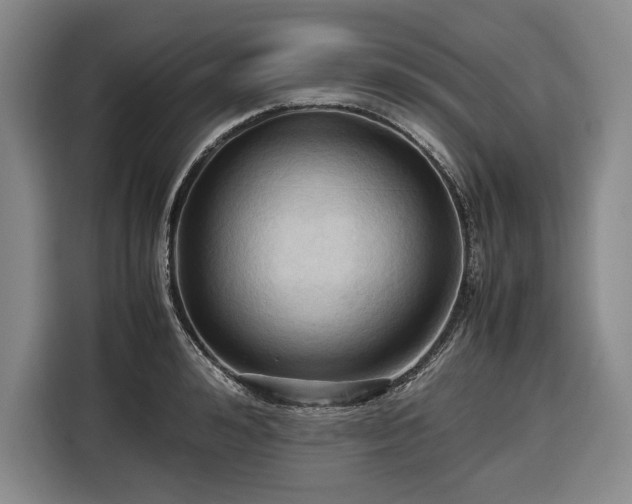 X0000116680992200912211620