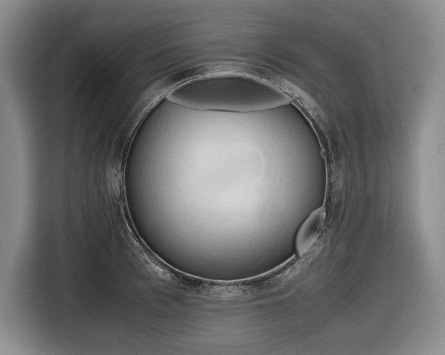 X0000116680993200912211620