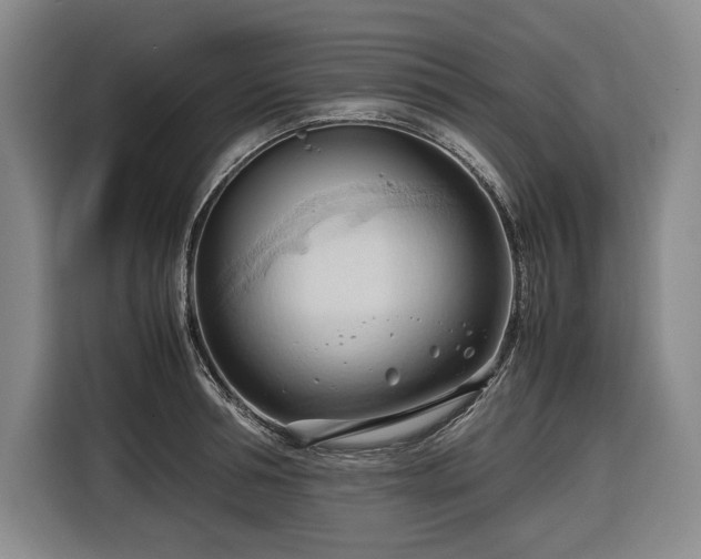 X0000116680994200912211620