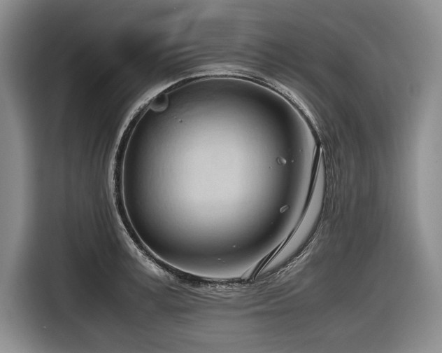 X0000116680995200912211620