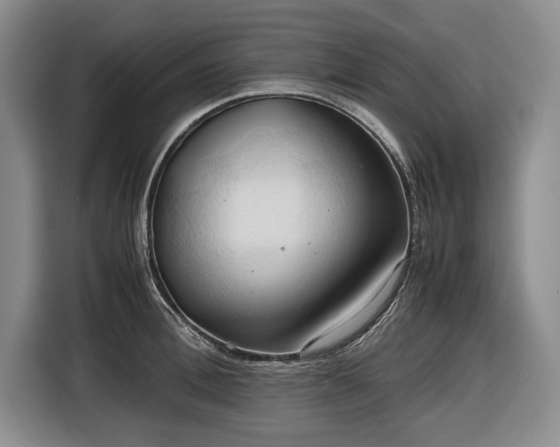 X0000116680996200912211620