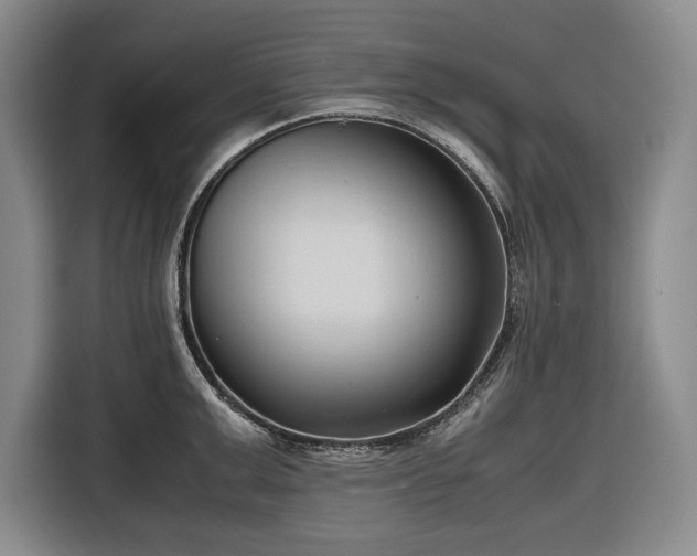 X0000116680999200912211620