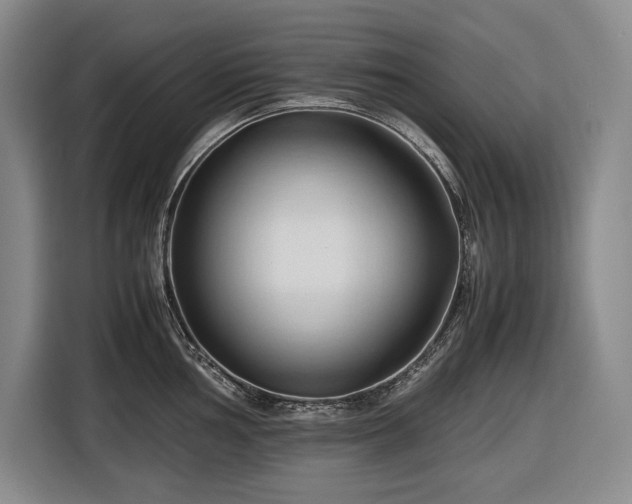 X0000116681002200912211620