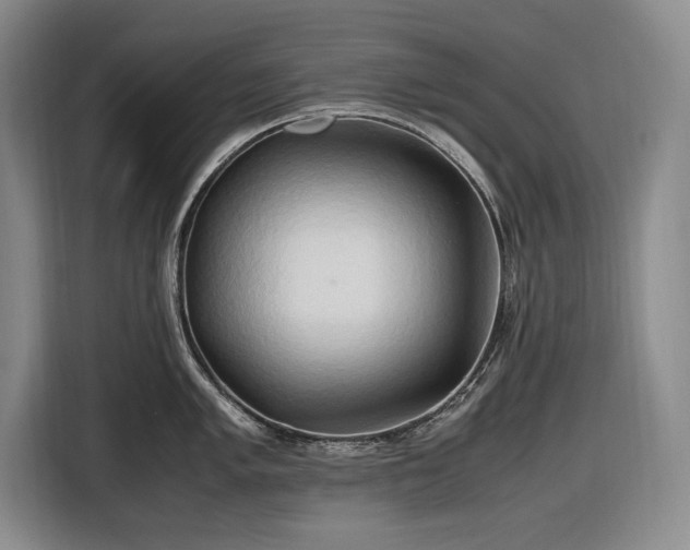 X0000116681005200912211620