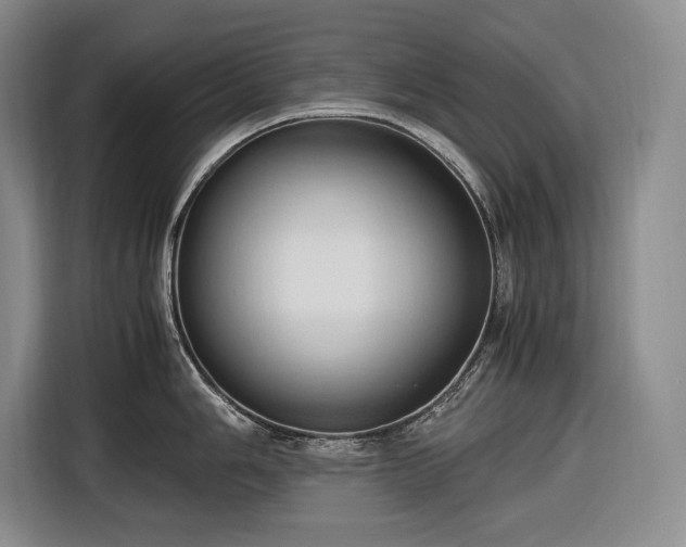 X0000116681006200912211620