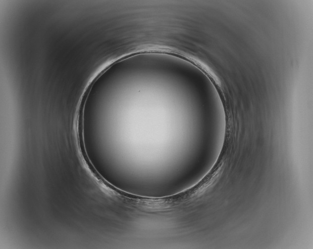 X0000116681007200912211620