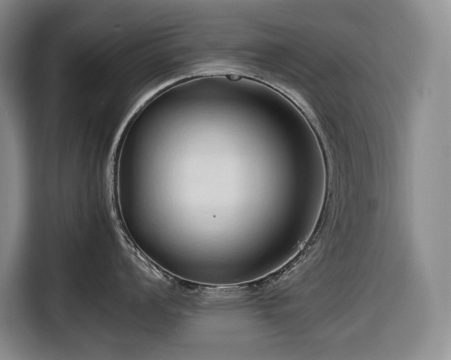 X0000116681008200912211620