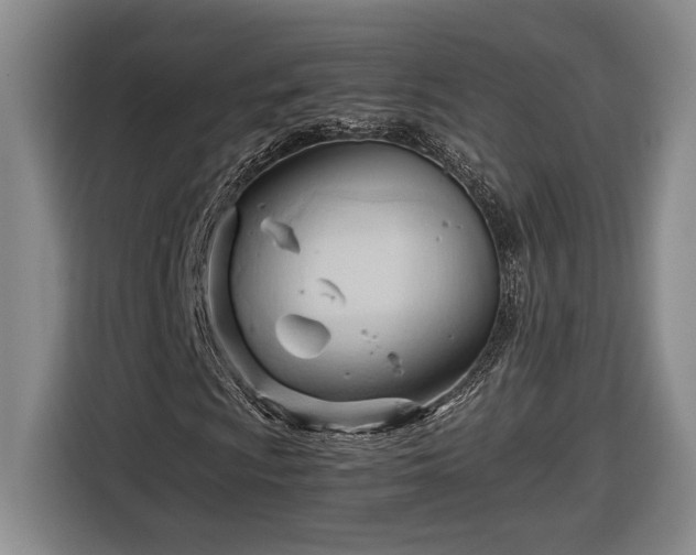 X0000116681009200912211619