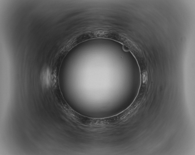 X0000116681011200912211619