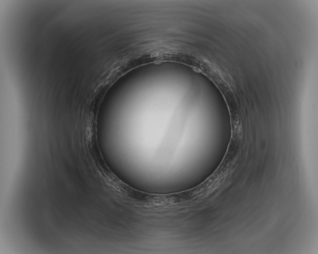 X0000116681012200912211619