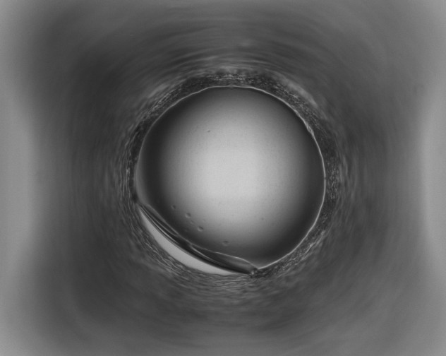 X0000116681013200912211619