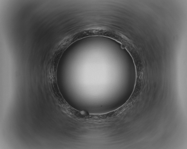 X0000116681014200912211619