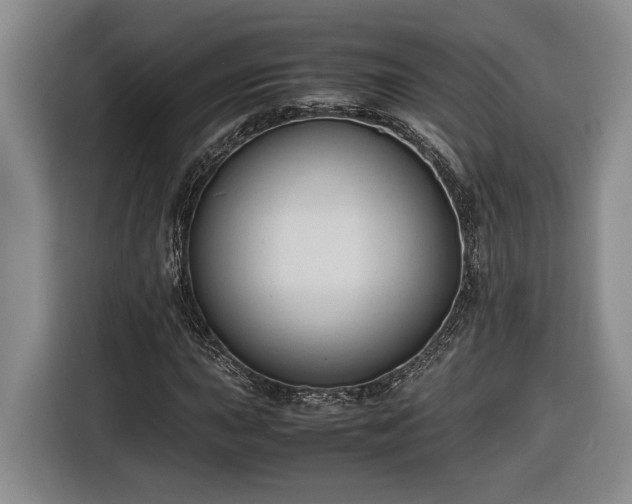 X0000116681015200912211619