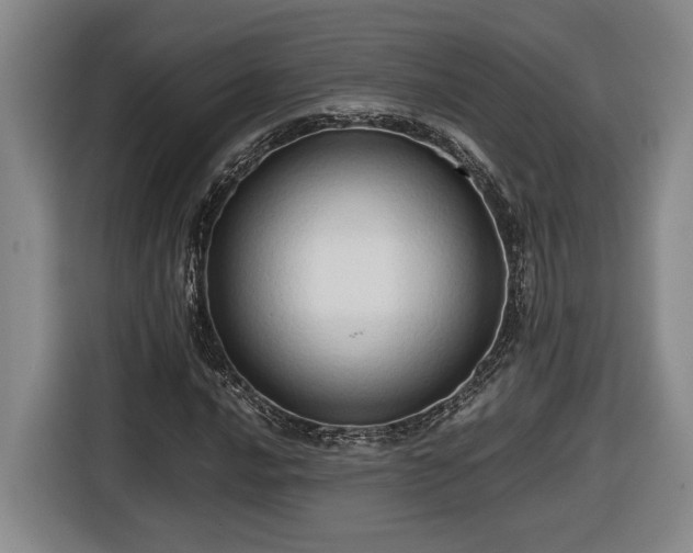 X0000116681016200912211619