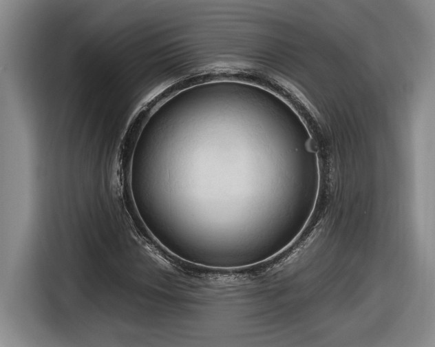 X0000116681018200912211619