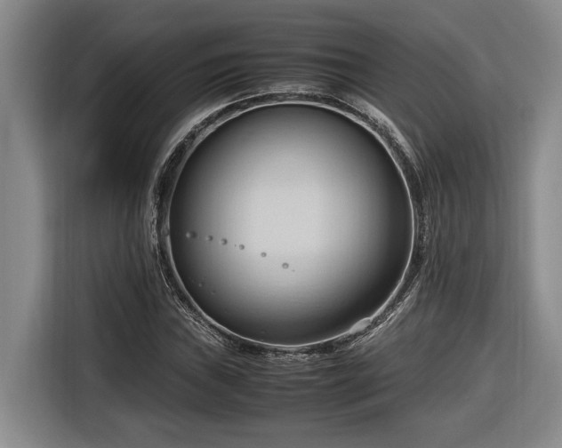 X0000116681019200912211619