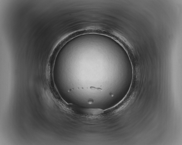 X0000116681021200912211619