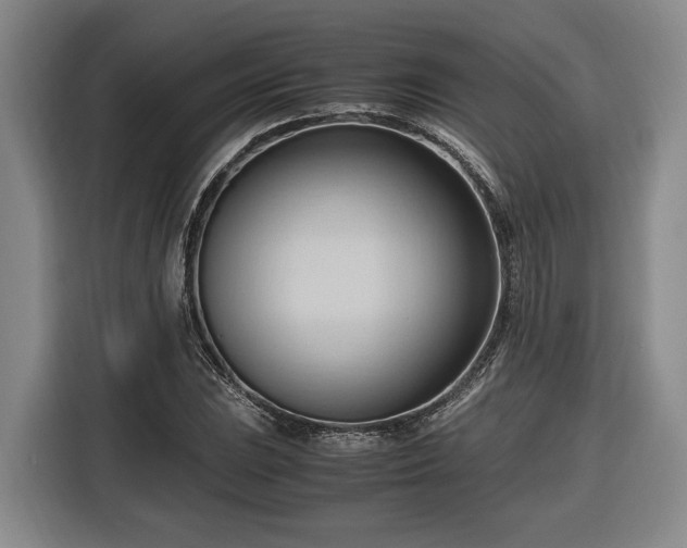 X0000116681023200912211619