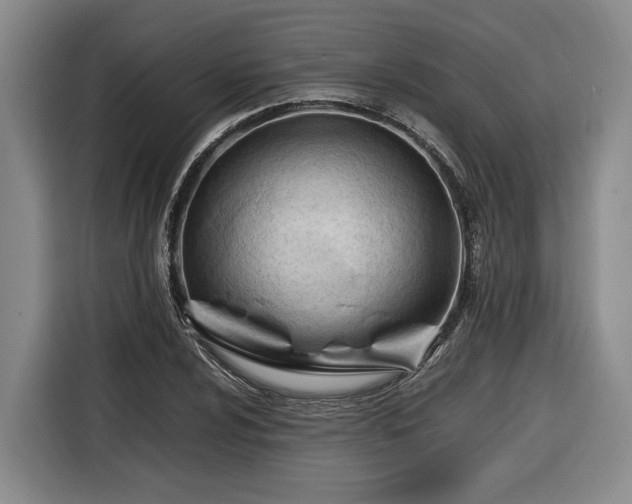 X0000116681024200912211619