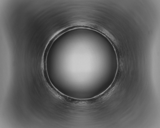 X0000116681028200912211619