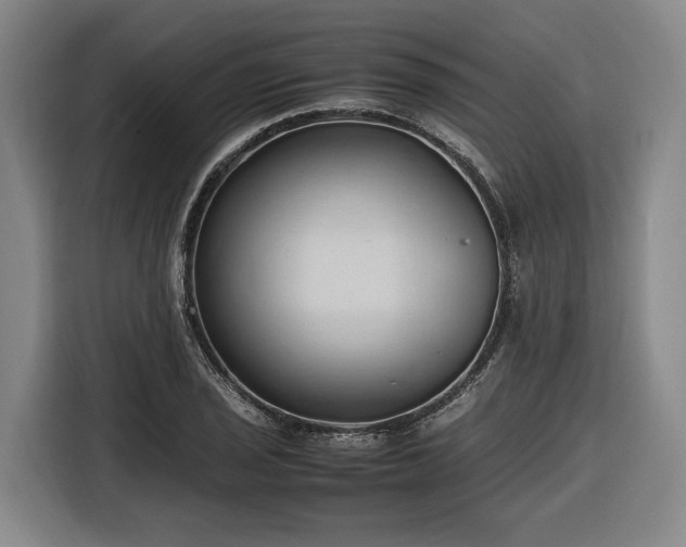 X0000116681029200912211619